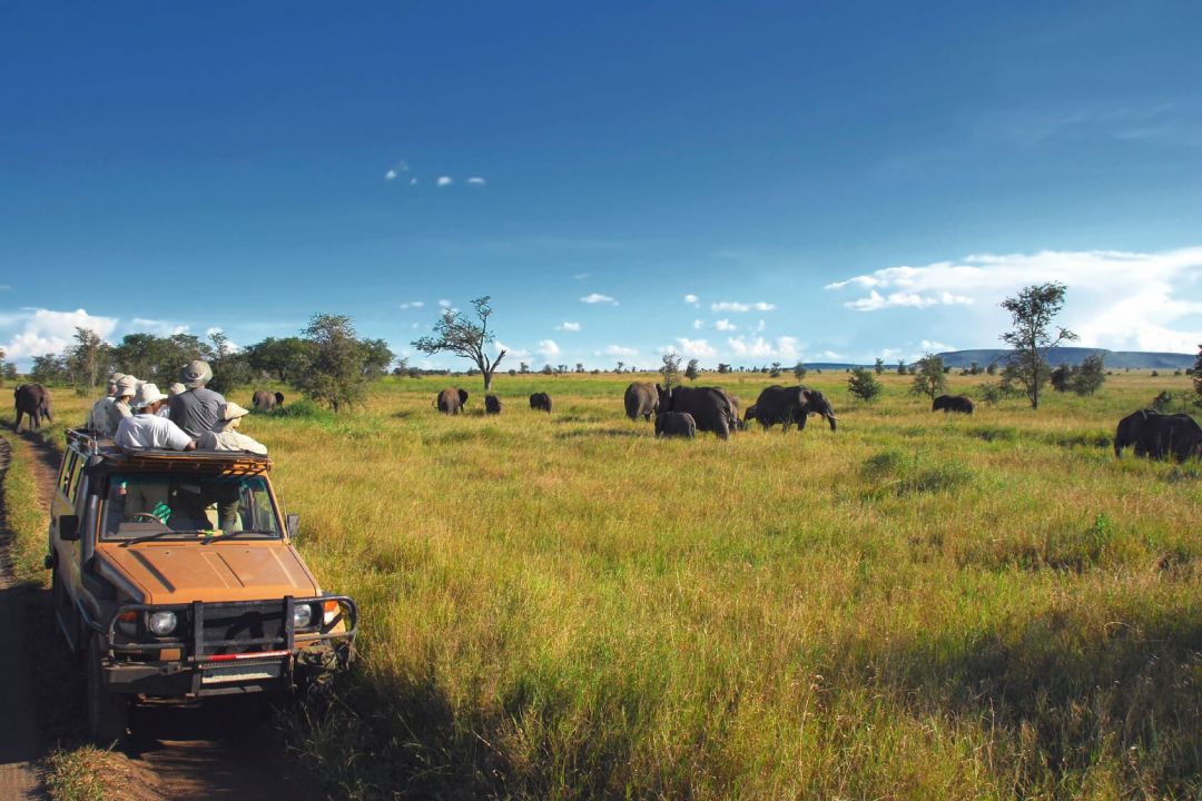 I Stock 000004161624 Medium Safari In Serengeti Compressed